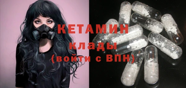 прущие грибы Абинск