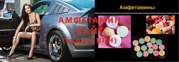 прущие грибы Абинск