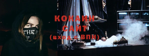 прущие грибы Абинск