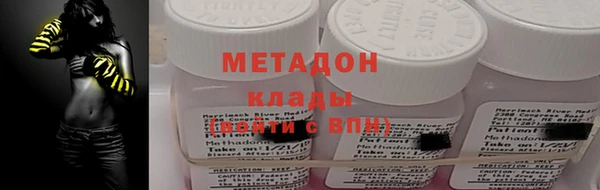 прущие грибы Абинск