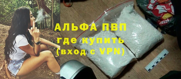 прущие грибы Переславль-Залесский