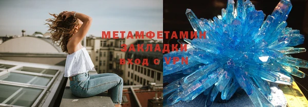 прущие грибы Абинск