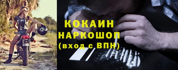 прущие грибы Абинск
