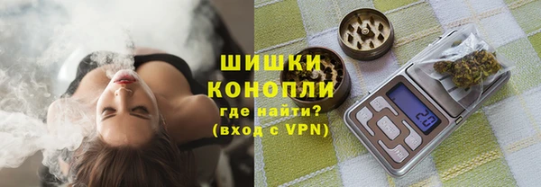 трава Абаза