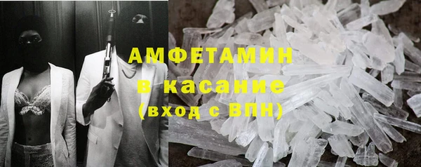 прущие грибы Переславль-Залесский
